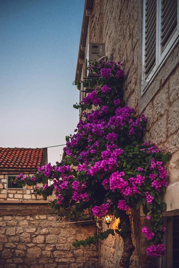 Carol Rooms Τρογκίρ Εξωτερικό φωτογραφία