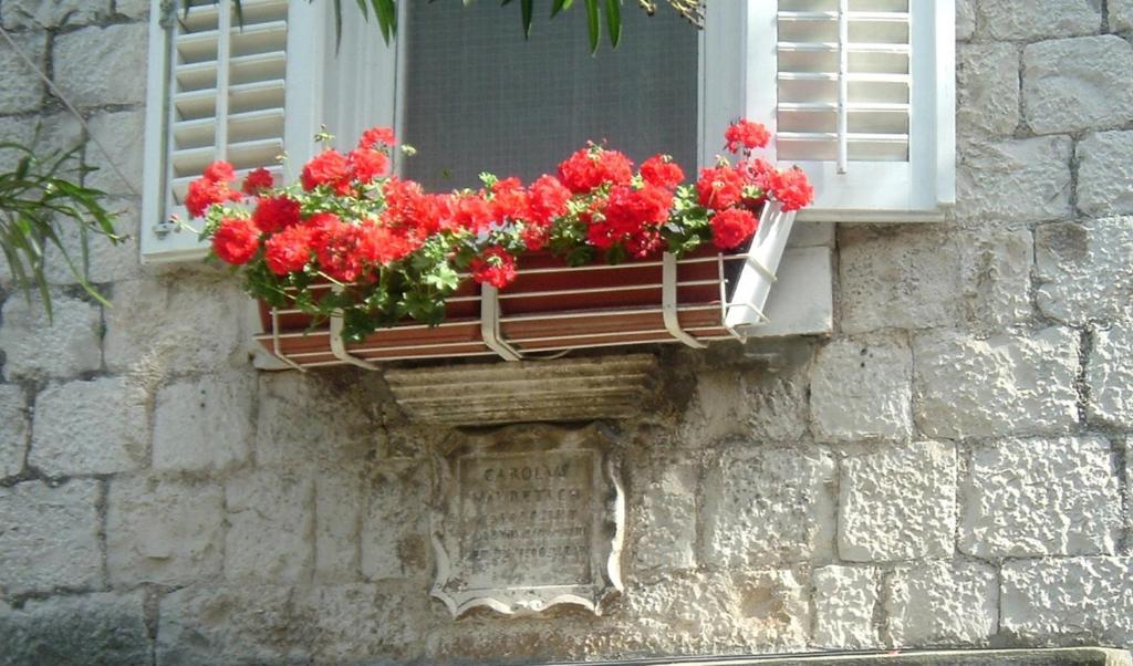 Carol Rooms Τρογκίρ Εξωτερικό φωτογραφία